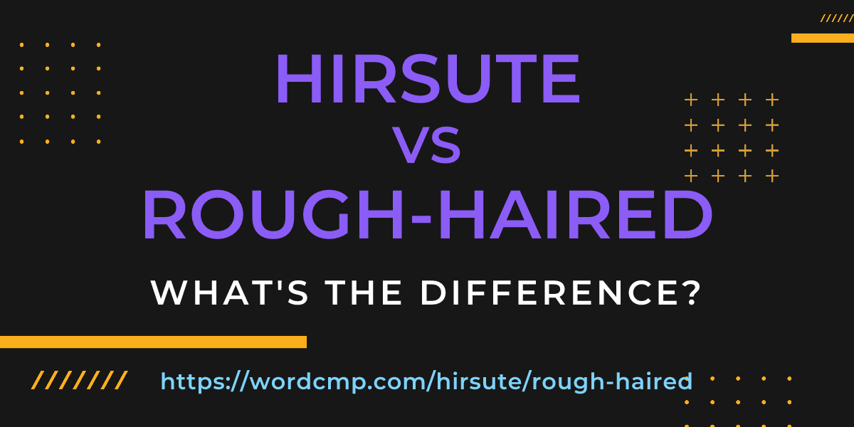 Difference between hirsute and rough-haired