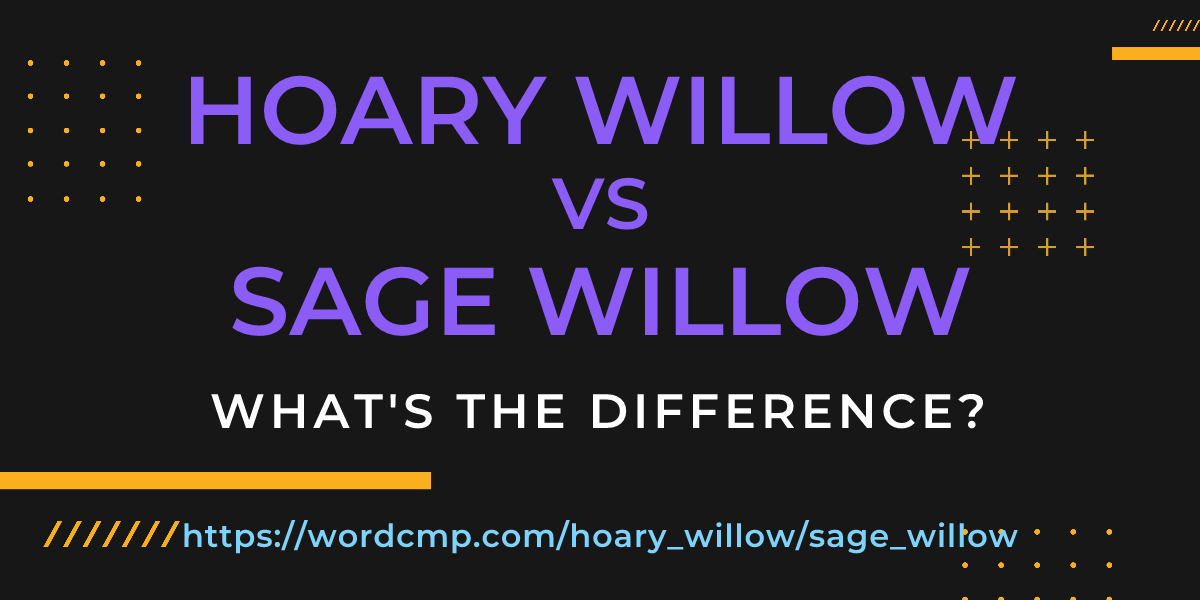 Difference between hoary willow and sage willow