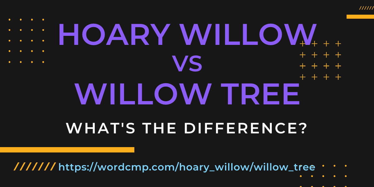 Difference between hoary willow and willow tree