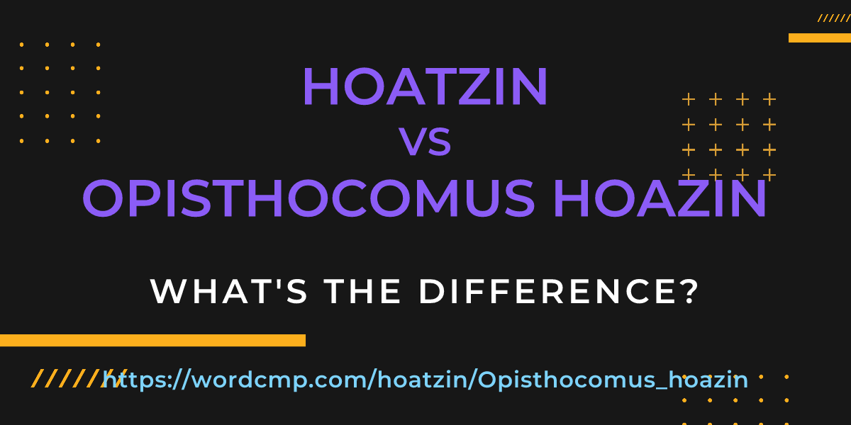 Difference between hoatzin and Opisthocomus hoazin