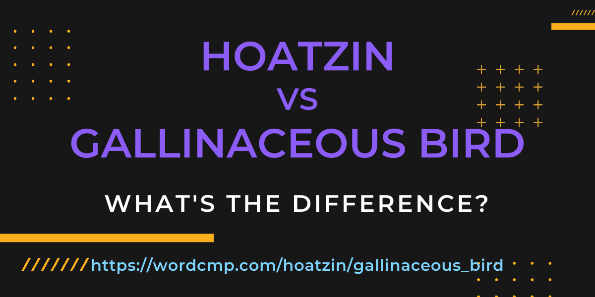 Difference between hoatzin and gallinaceous bird