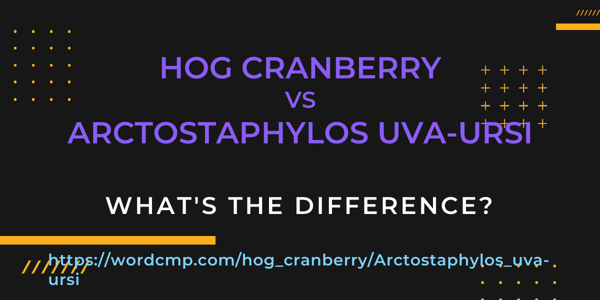 Difference between hog cranberry and Arctostaphylos uva-ursi