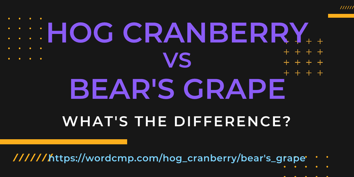 Difference between hog cranberry and bear's grape