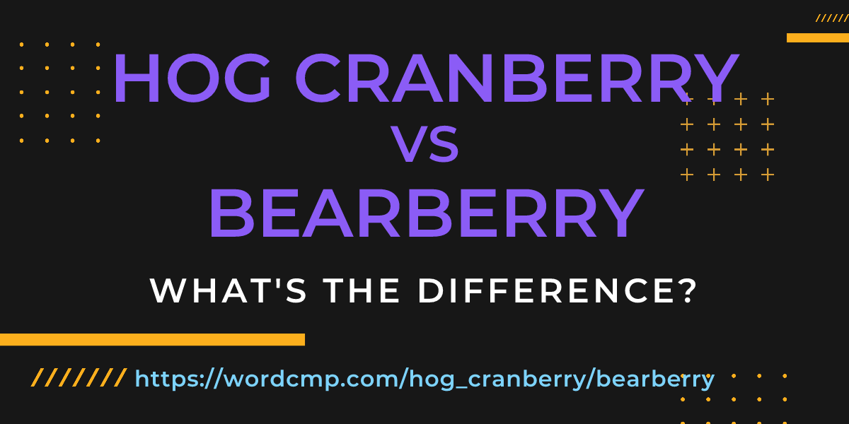 Difference between hog cranberry and bearberry