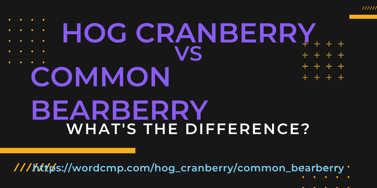 Difference between hog cranberry and common bearberry