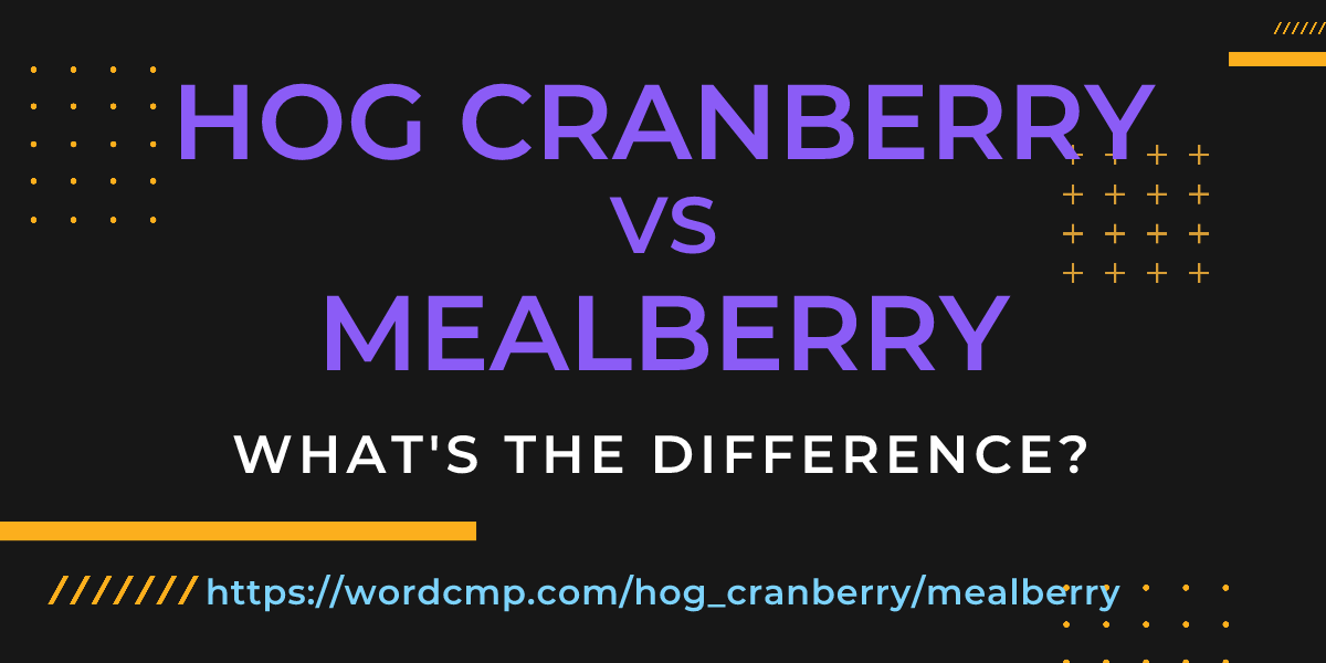 Difference between hog cranberry and mealberry