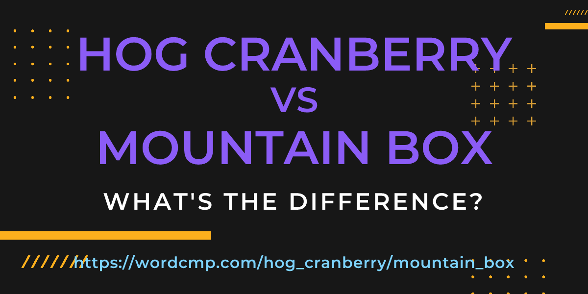 Difference between hog cranberry and mountain box