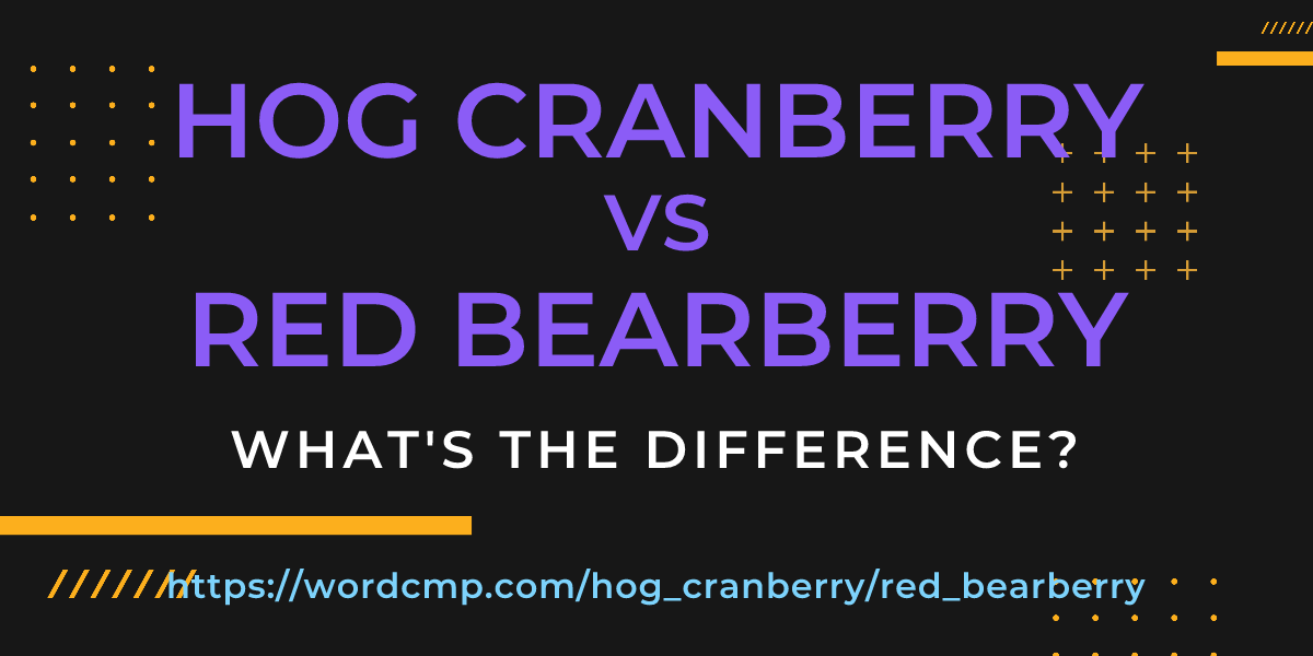 Difference between hog cranberry and red bearberry