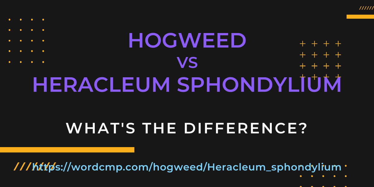 Difference between hogweed and Heracleum sphondylium