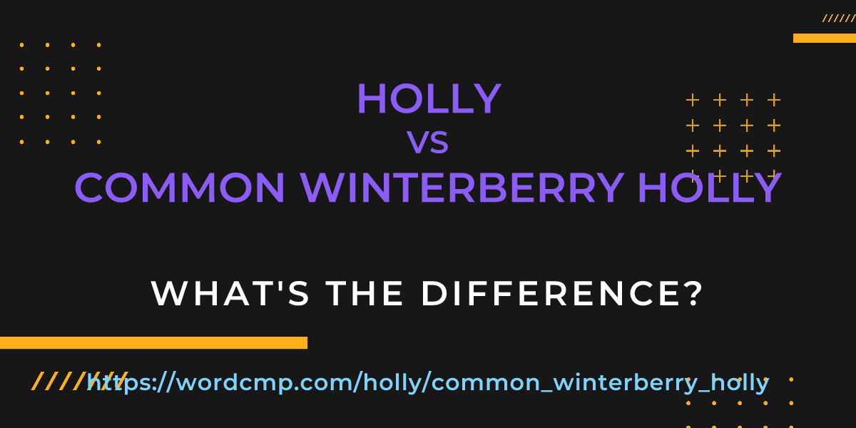 Difference between holly and common winterberry holly
