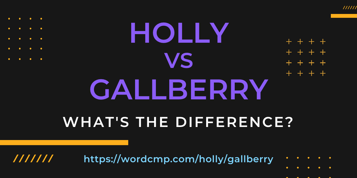 Difference between holly and gallberry