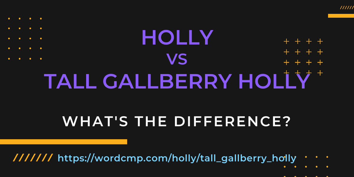 Difference between holly and tall gallberry holly