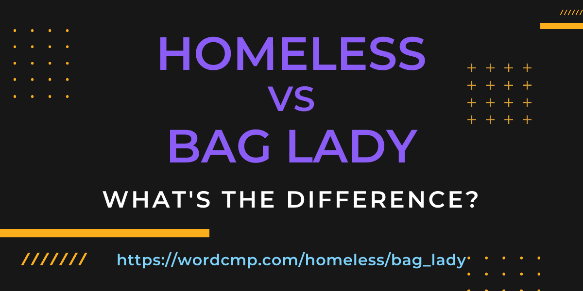 Difference between homeless and bag lady
