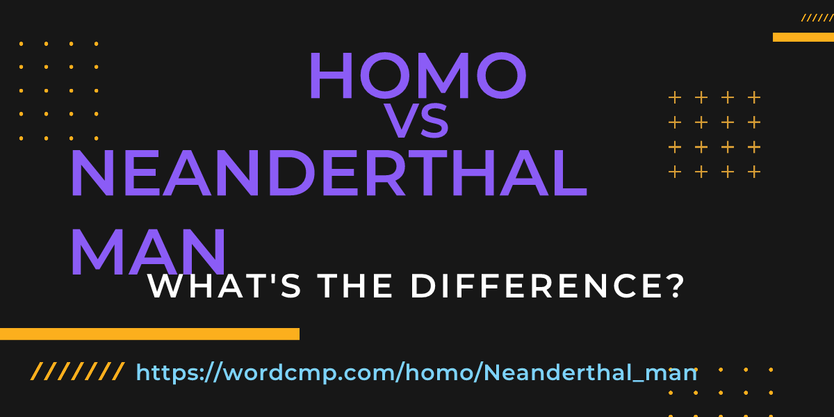 Difference between homo and Neanderthal man