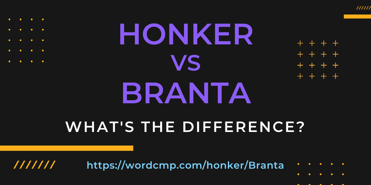Difference between honker and Branta