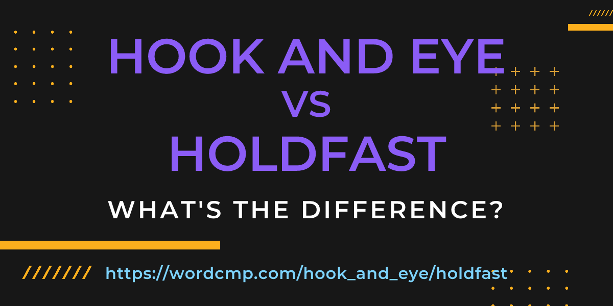 Difference between hook and eye and holdfast