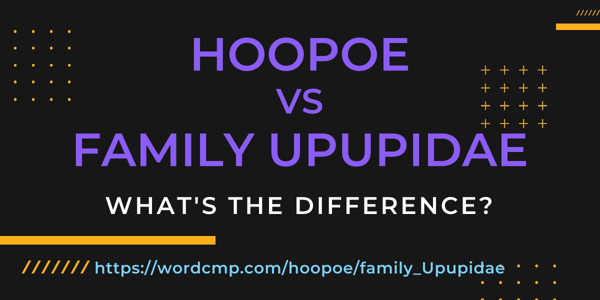 Difference between hoopoe and family Upupidae