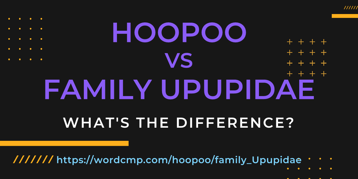 Difference between hoopoo and family Upupidae