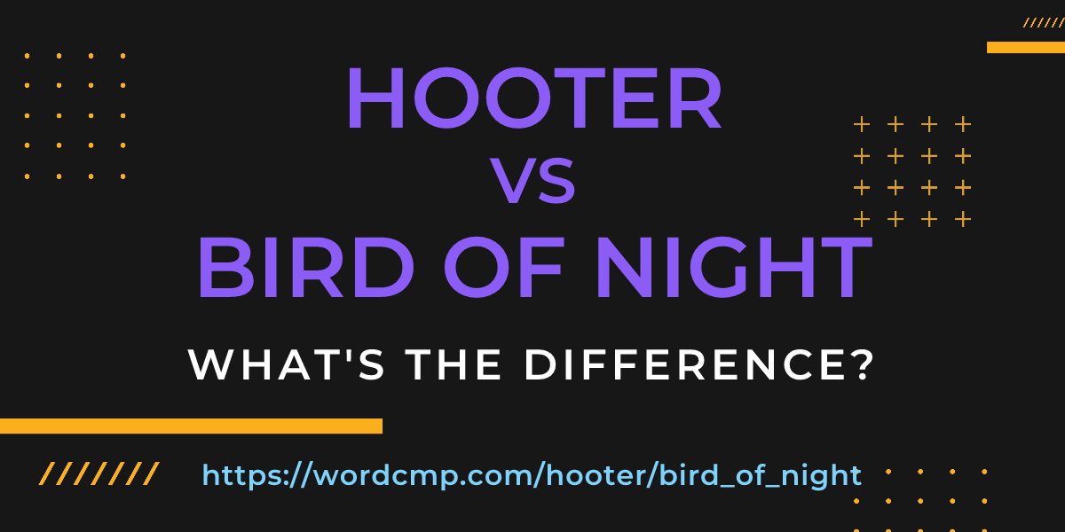 Difference between hooter and bird of night