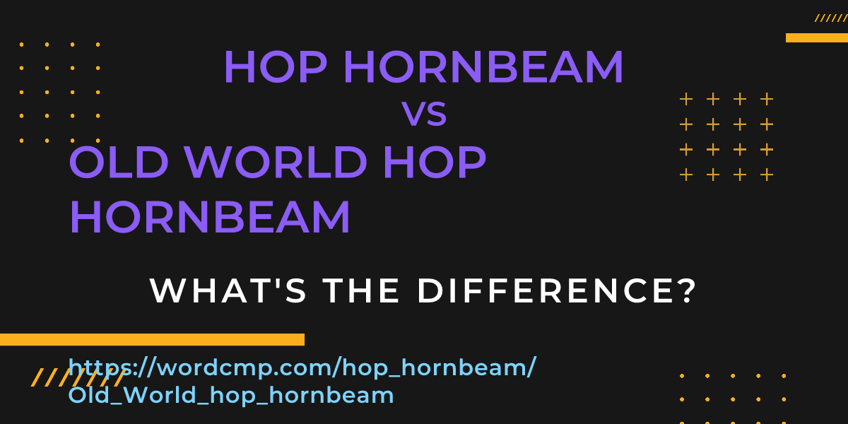 Difference between hop hornbeam and Old World hop hornbeam