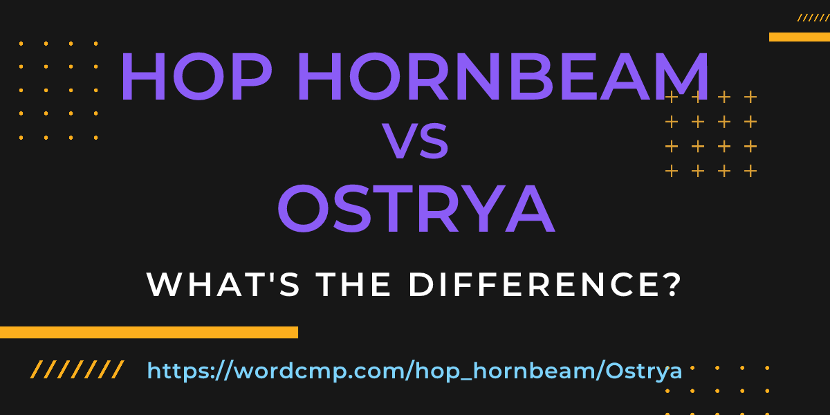 Difference between hop hornbeam and Ostrya