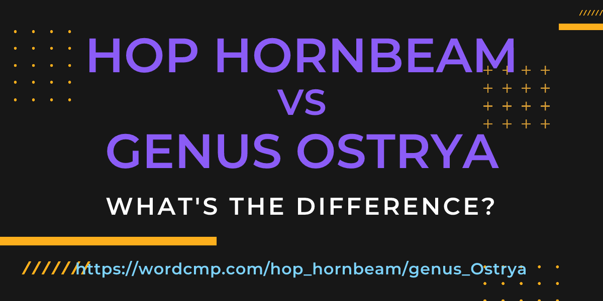 Difference between hop hornbeam and genus Ostrya