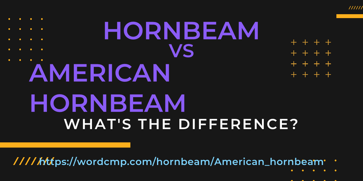 Difference between hornbeam and American hornbeam