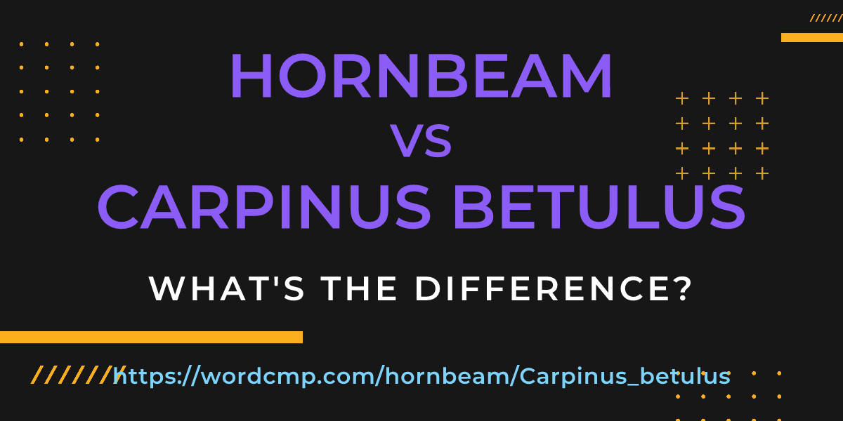 Difference between hornbeam and Carpinus betulus