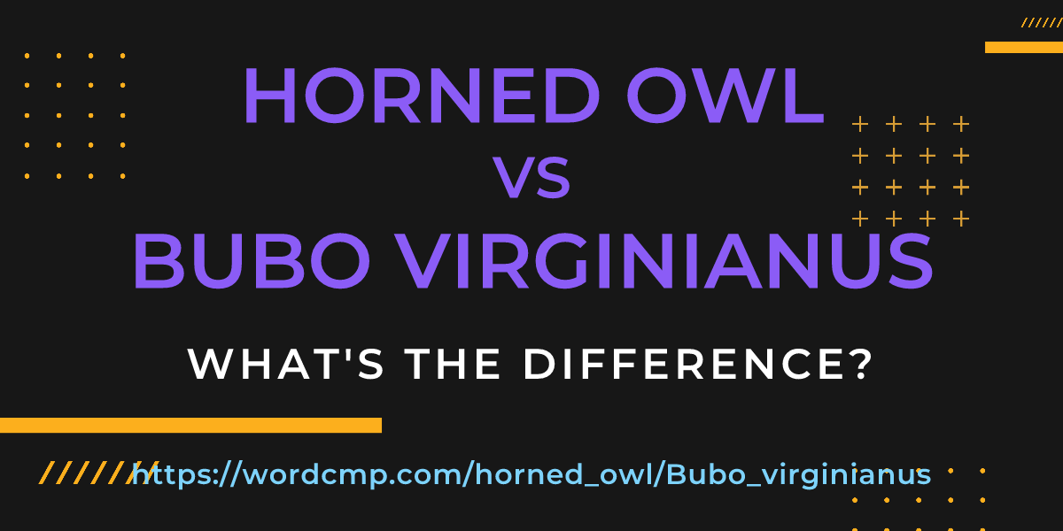 Difference between horned owl and Bubo virginianus