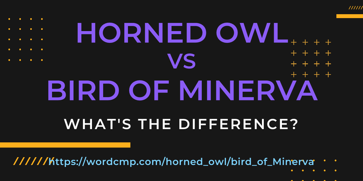 Difference between horned owl and bird of Minerva