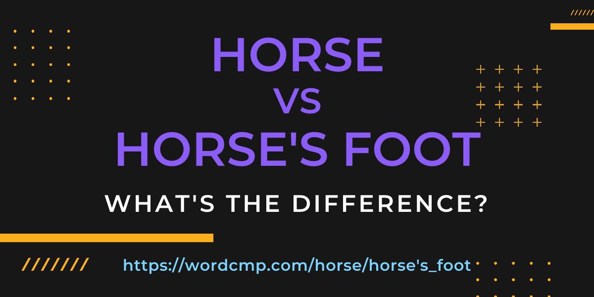 Difference between horse and horse's foot