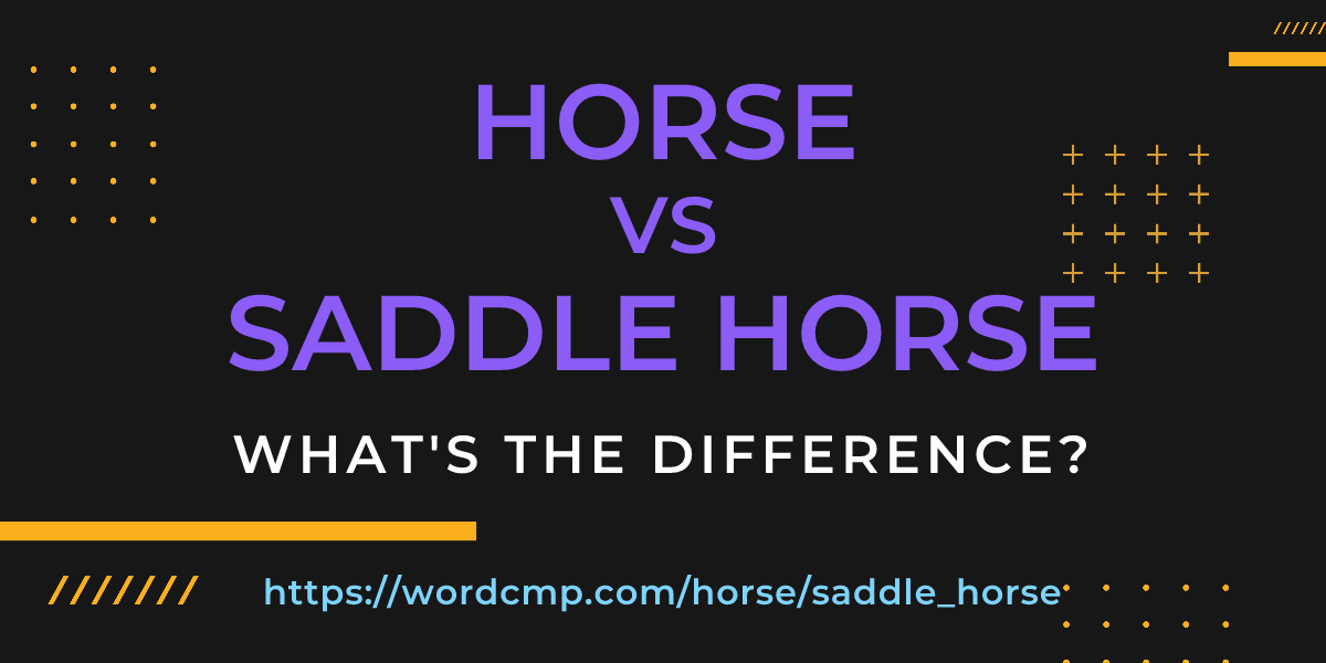 Difference between horse and saddle horse