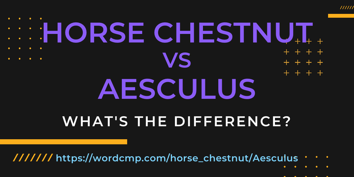 Difference between horse chestnut and Aesculus