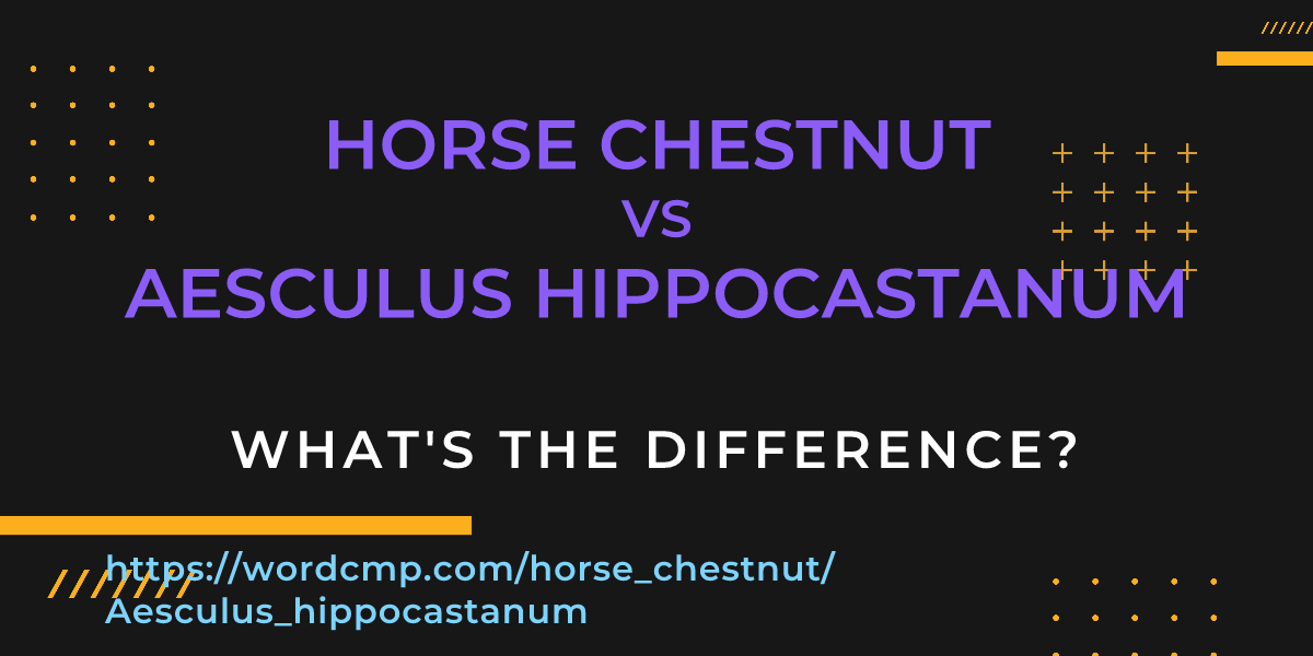 Difference between horse chestnut and Aesculus hippocastanum