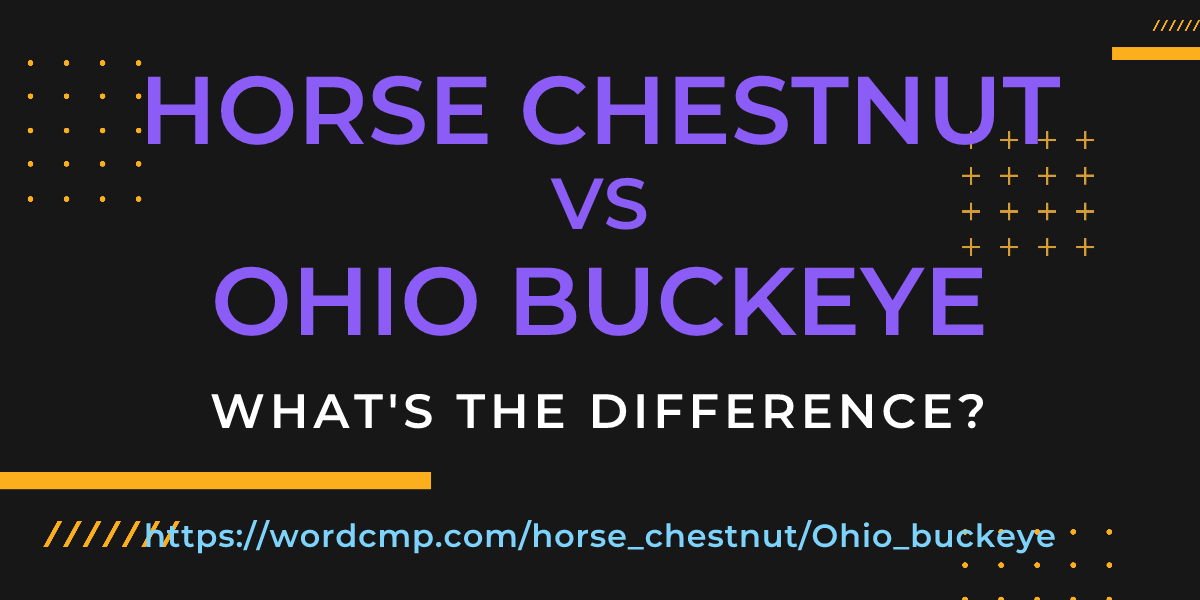 Difference between horse chestnut and Ohio buckeye