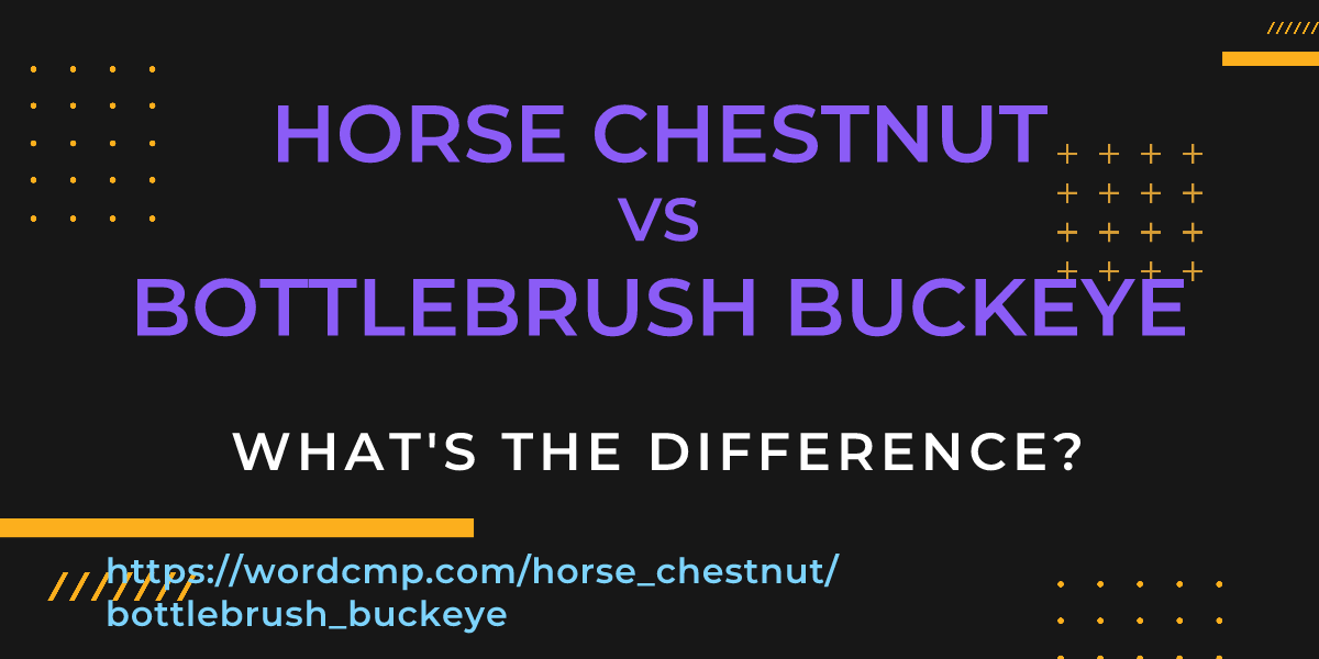 Difference between horse chestnut and bottlebrush buckeye