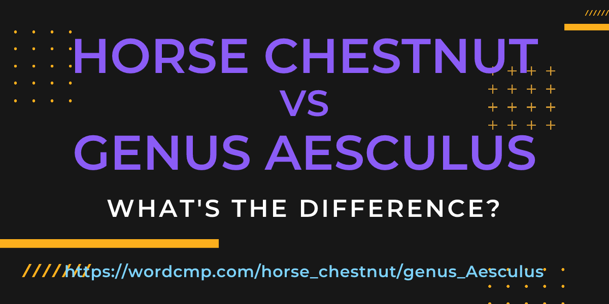 Difference between horse chestnut and genus Aesculus