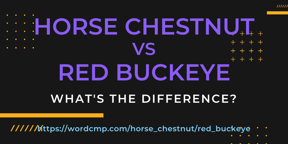 Difference between horse chestnut and red buckeye
