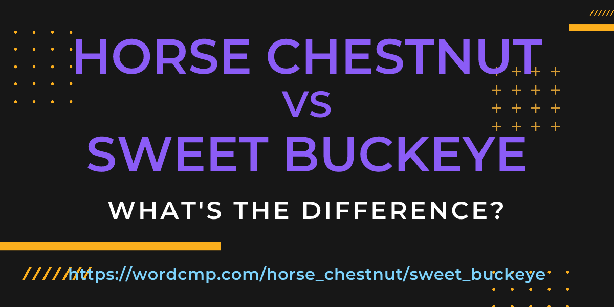 Difference between horse chestnut and sweet buckeye