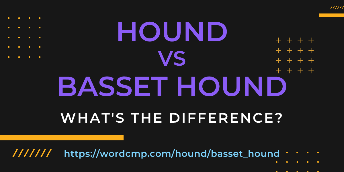Difference between hound and basset hound