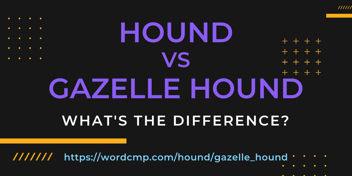 Difference between hound and gazelle hound