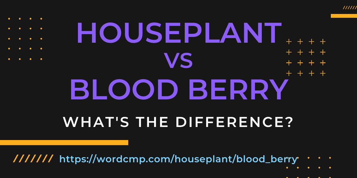 Difference between houseplant and blood berry