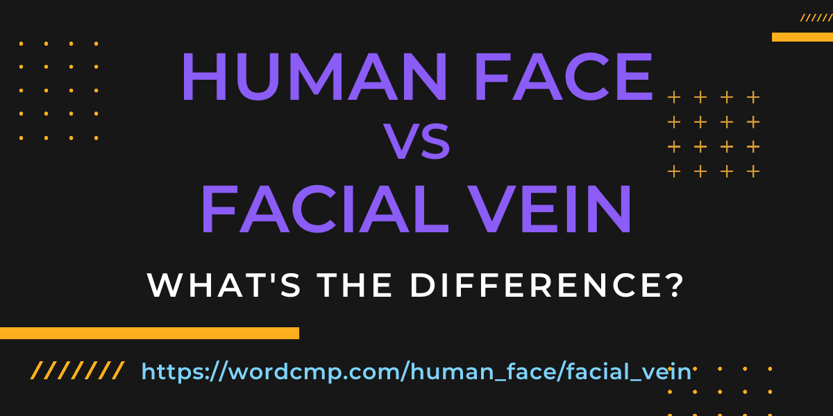 Difference between human face and facial vein
