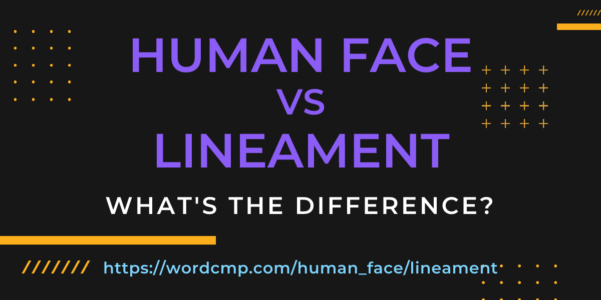 Difference between human face and lineament