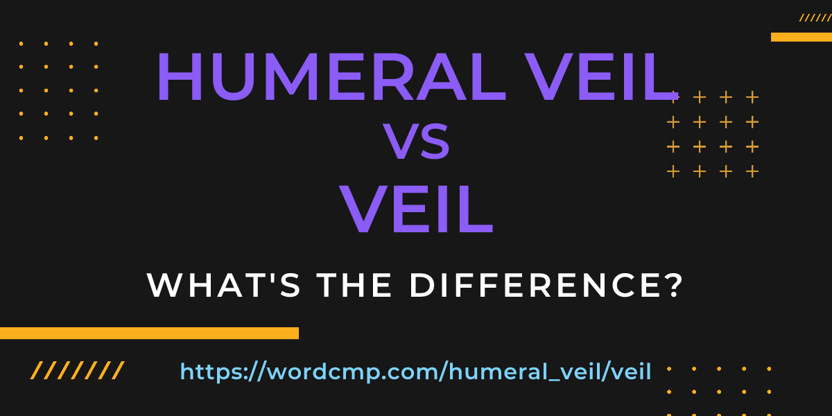 Difference between humeral veil and veil