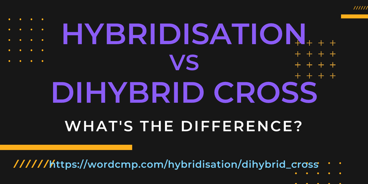 Difference between hybridisation and dihybrid cross