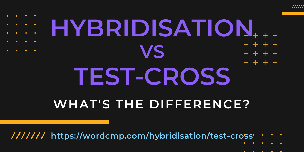Difference between hybridisation and test-cross