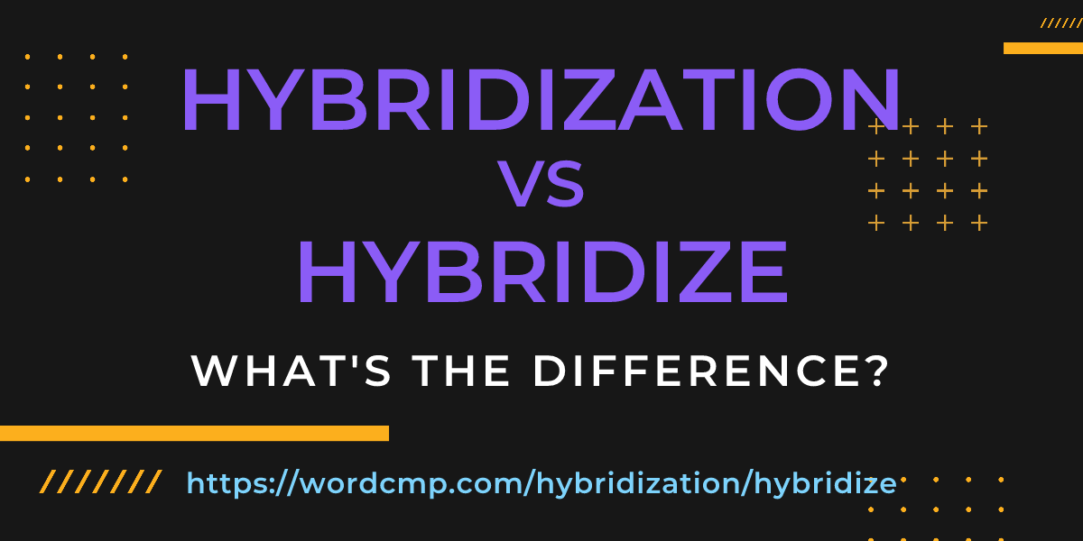 Difference between hybridization and hybridize