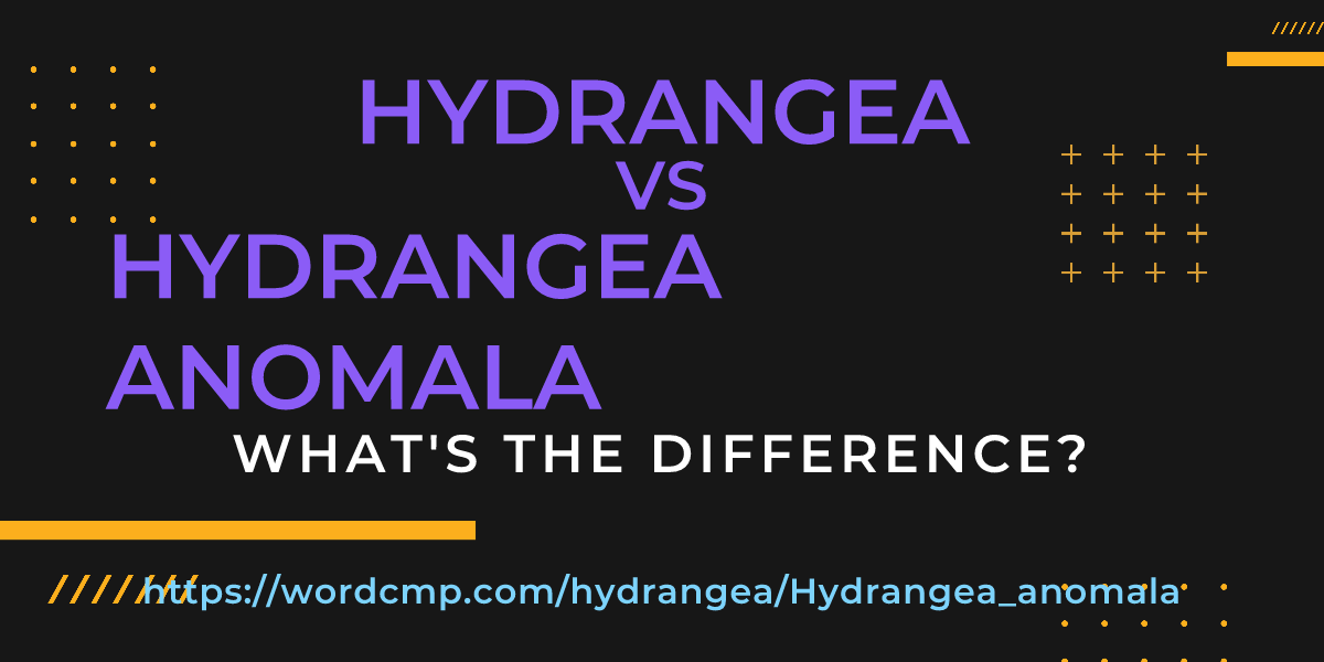 Difference between hydrangea and Hydrangea anomala