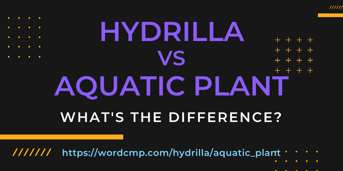 Difference between hydrilla and aquatic plant